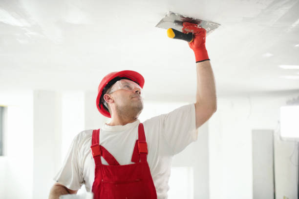 Best Drywall Repair  in Westminster, CO